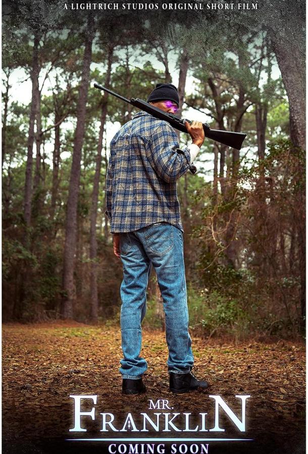 Мистер Франклин Мистер Франклин