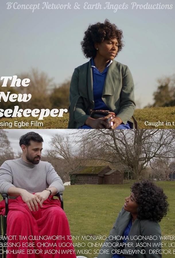 Новая домработница Новая домработница