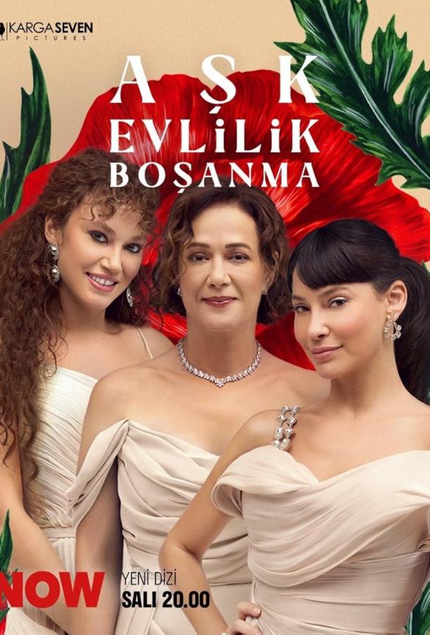 Любовь, брак, развод Любовь, брак, развод