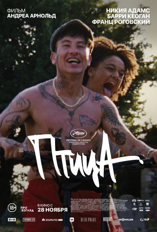 Птица Птица