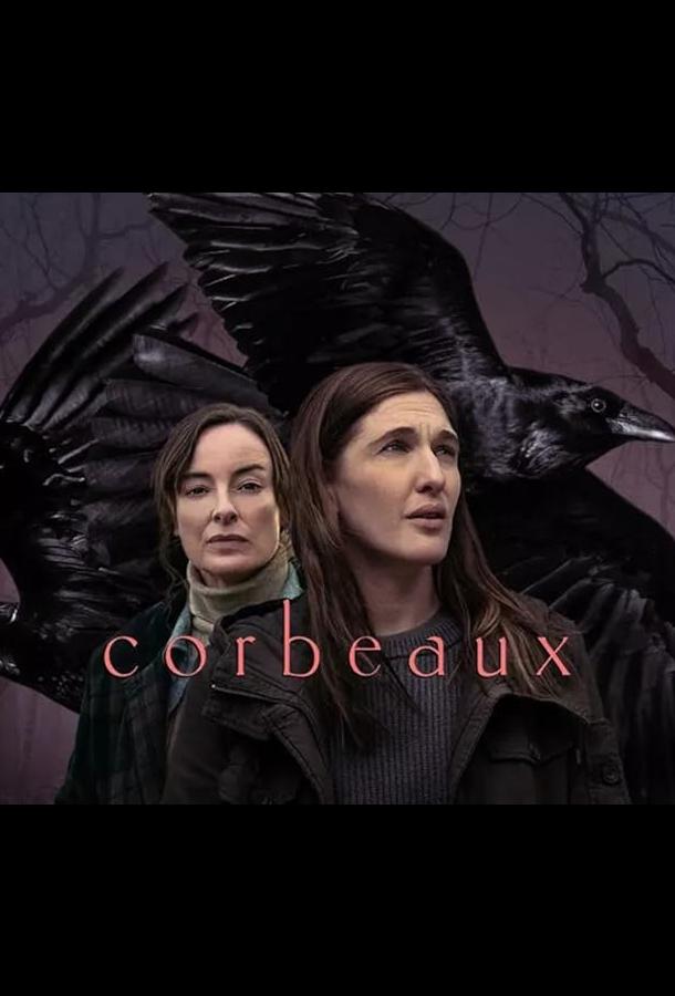 Вороны Вороны