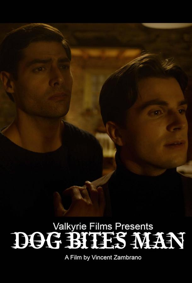 Собака кусает человека Собака кусает человека