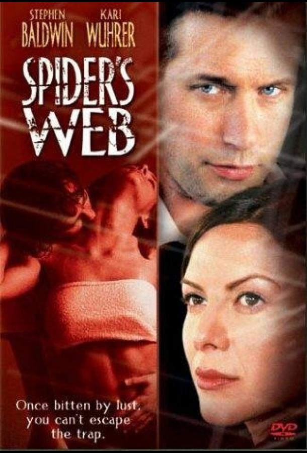 Паутина Паутина