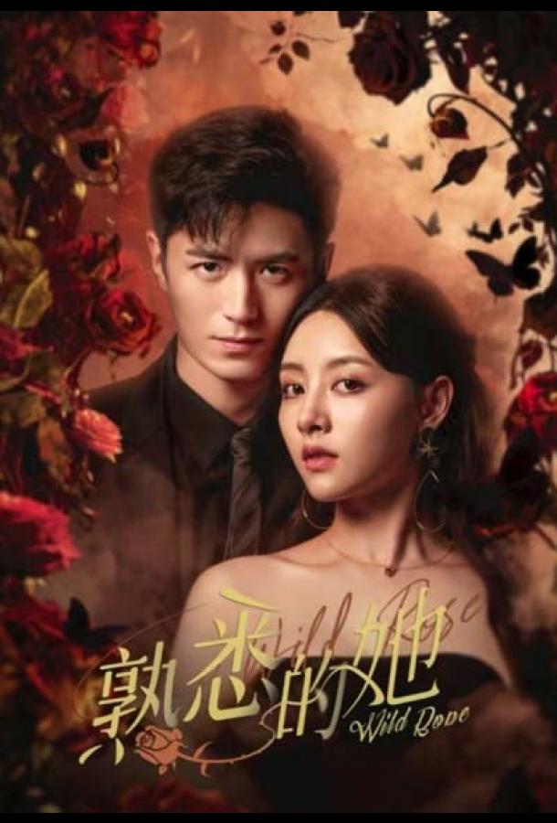 Дикая роза Дикая роза