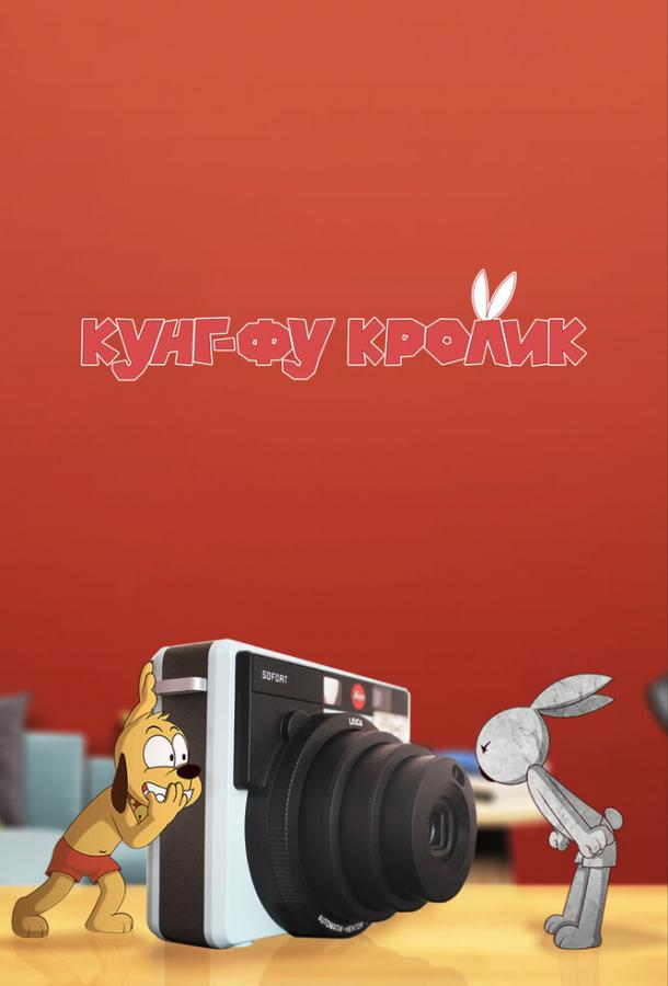 Кунг-фу кролик Кунг-фу кролик