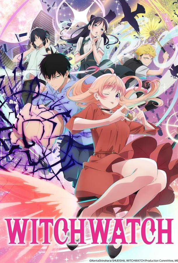 Ведьмнадзор Ведьмнадзор