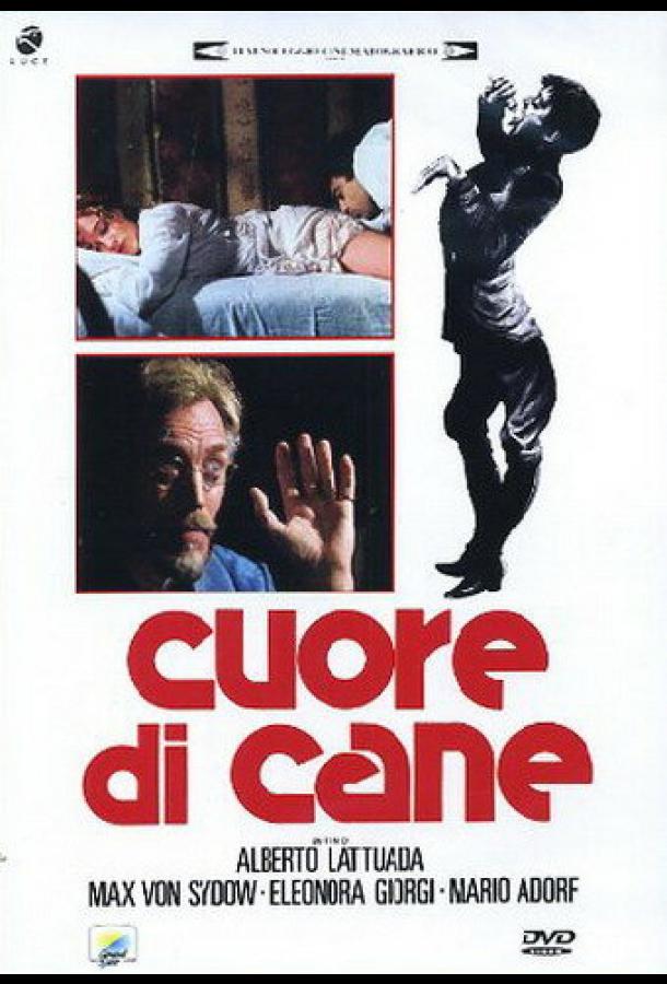 Собачье сердце Собачье сердце