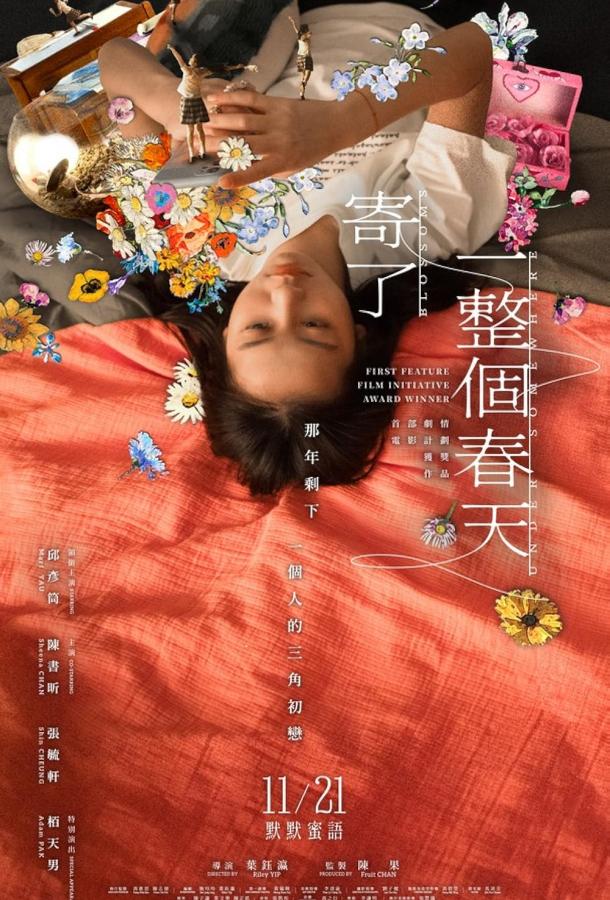 Распустившийся бутон Распустившийся бутон