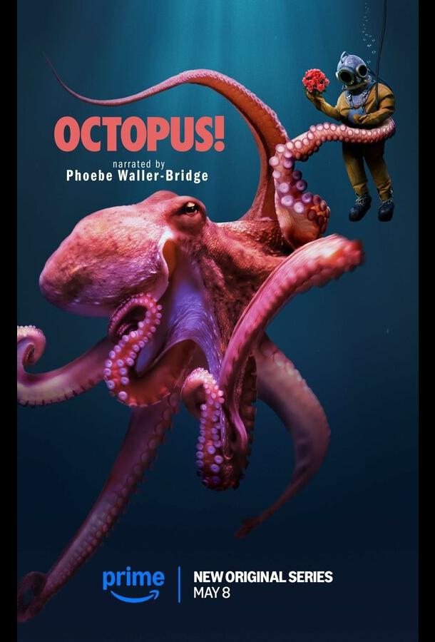 Осьминог! Осьминог!