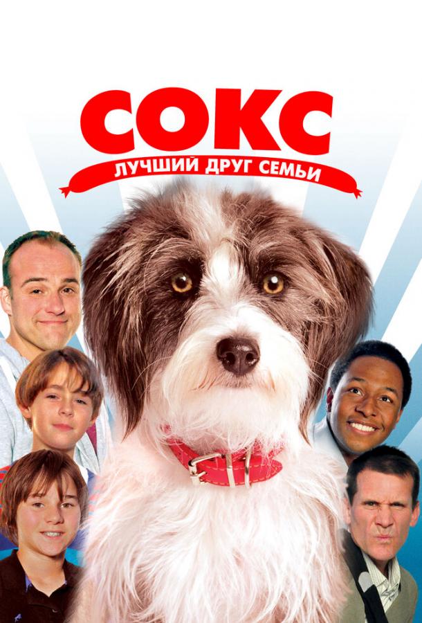 Сокс. Лучший друг семьи Сокс. Лучший друг семьи