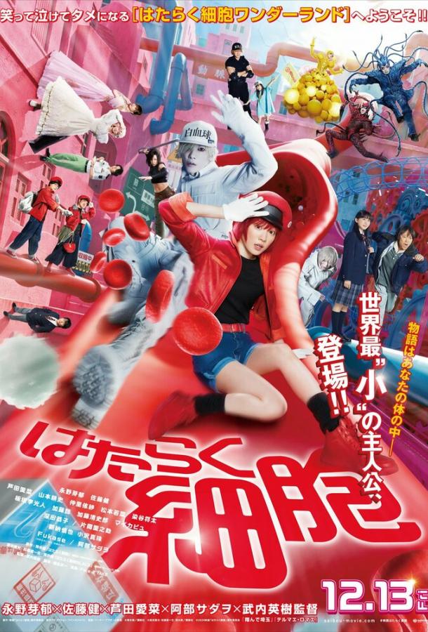 Клетки за работой Клетки за работой