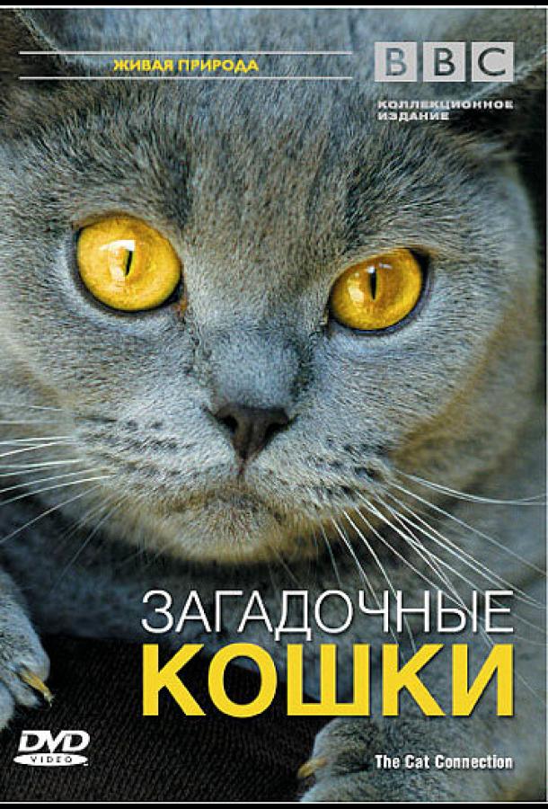 BBC: Загадочные кошки BBC: Загадочные кошки