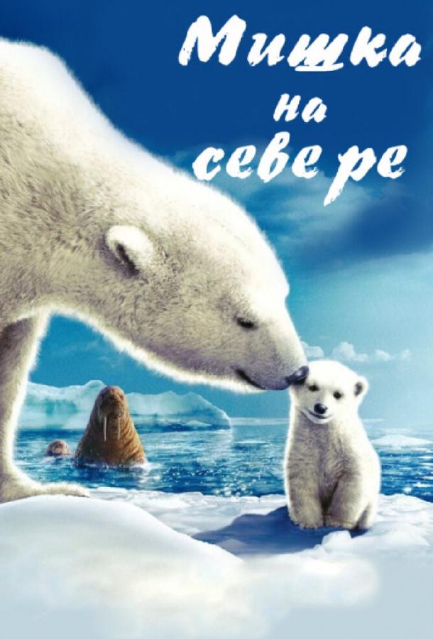 Мишка на Севере Мишка на Севере