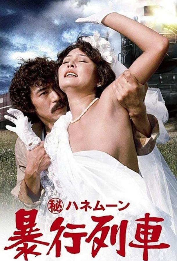 Тайный медовый месяц: Поезд изнасилований Тайный медовый месяц: Поезд изнасилований