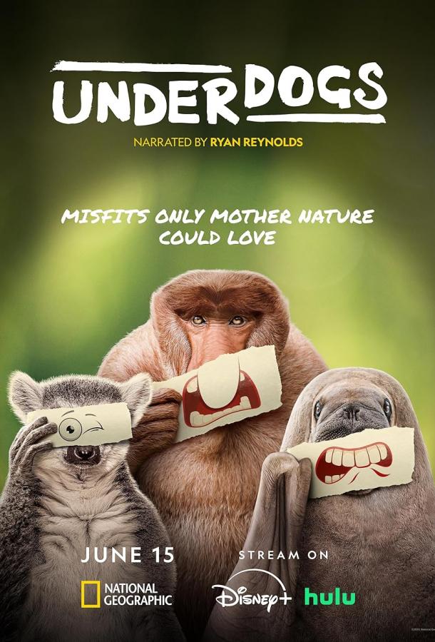 Аутсайдеры Аутсайдеры