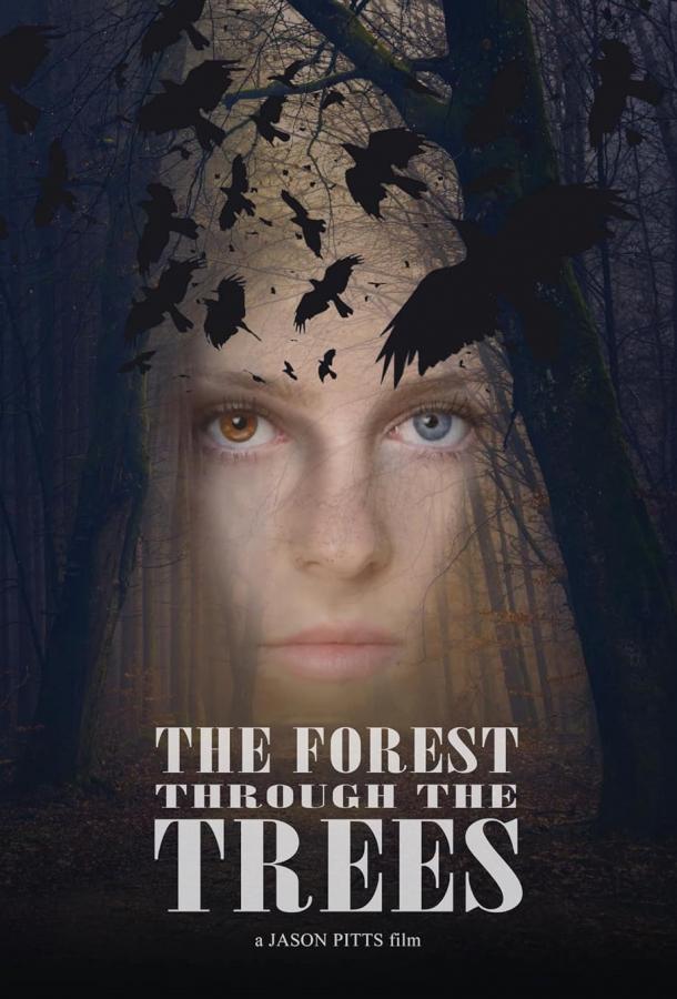 За деревьями леса не видно За деревьями леса не видно