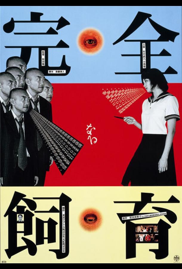 Идеальное образование Идеальное образование