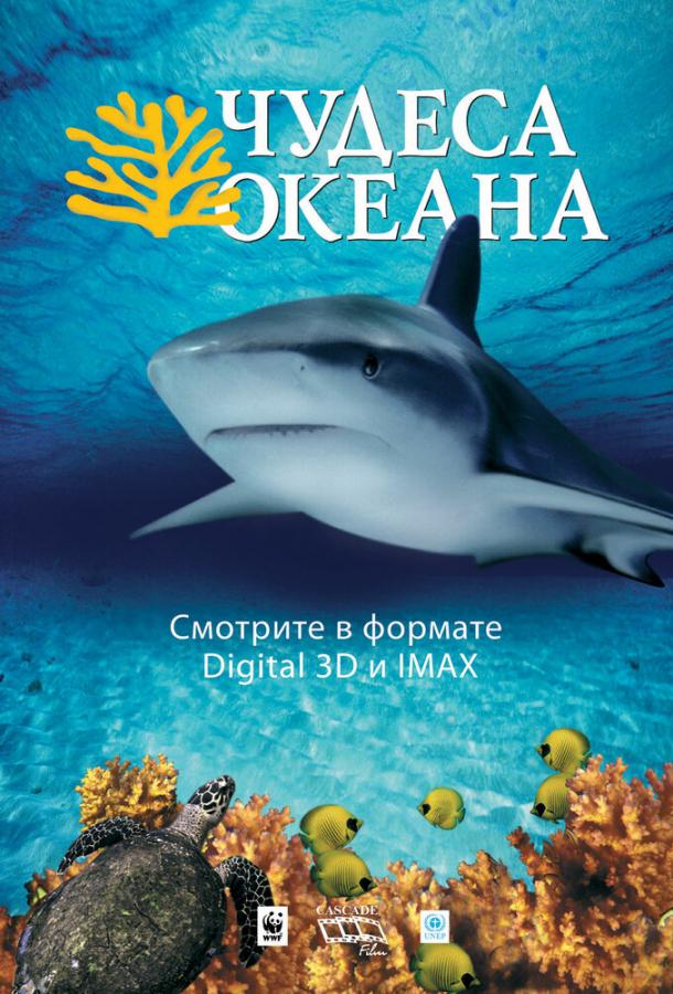 Чудеса океана 3D Чудеса океана 3D