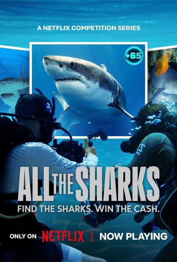 Все акулы Все акулы