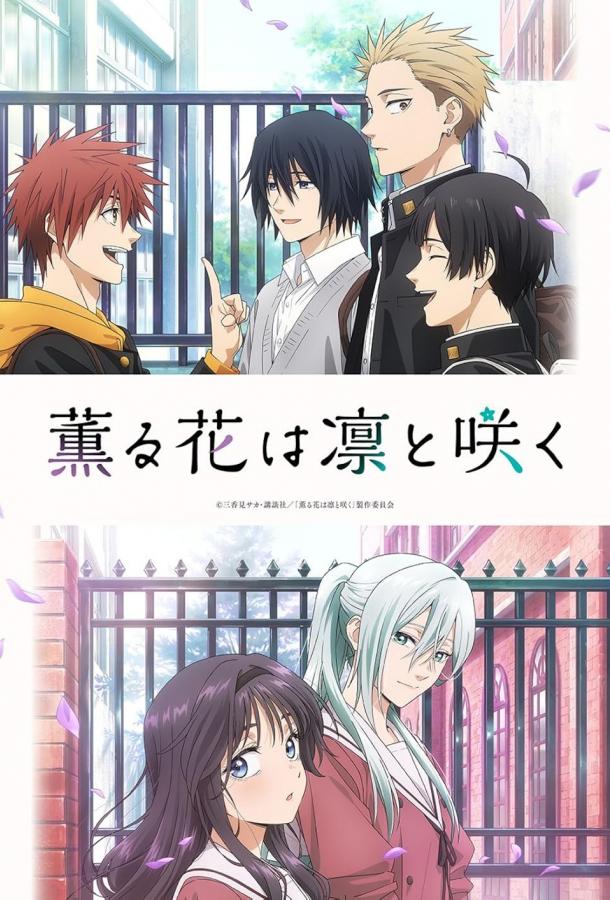 Благоухающий цветок расцветает с достоинством Благоухающий цветок расцветает с достоинством