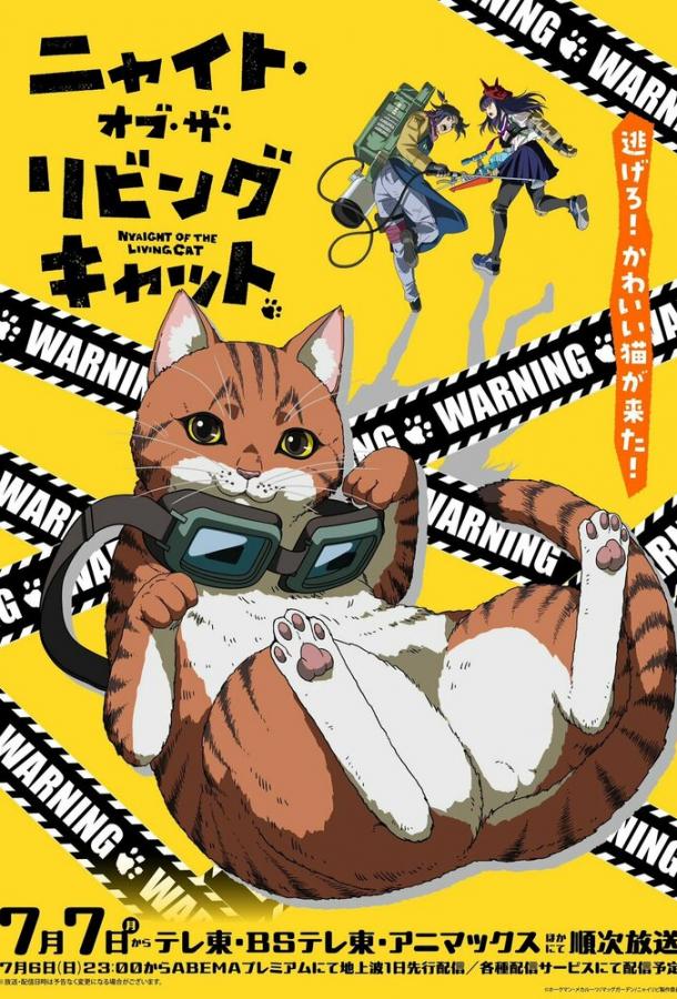 Ночь живых кошаков Ночь живых кошаков