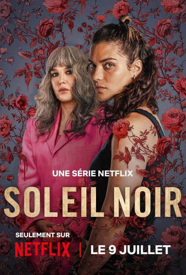 Чёрное солнце Чёрное солнце