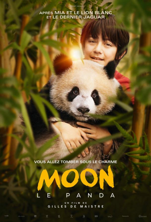 Моя панда Моя панда