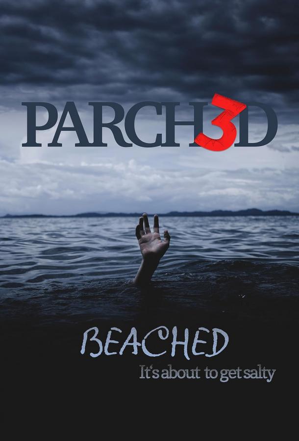 Сушняк 3: на мели Сушняк 3: на мели