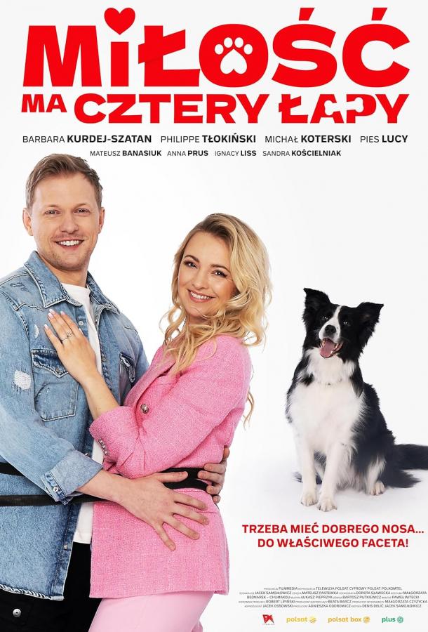У любви четыре лапы У любви четыре лапы