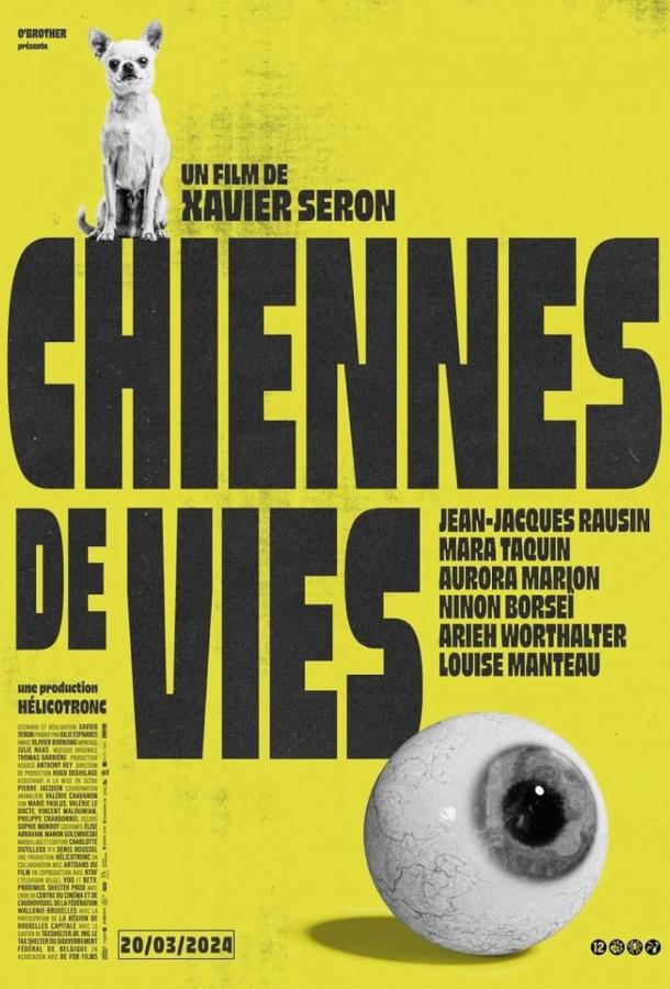 Жизнь - сука Жизнь - сука