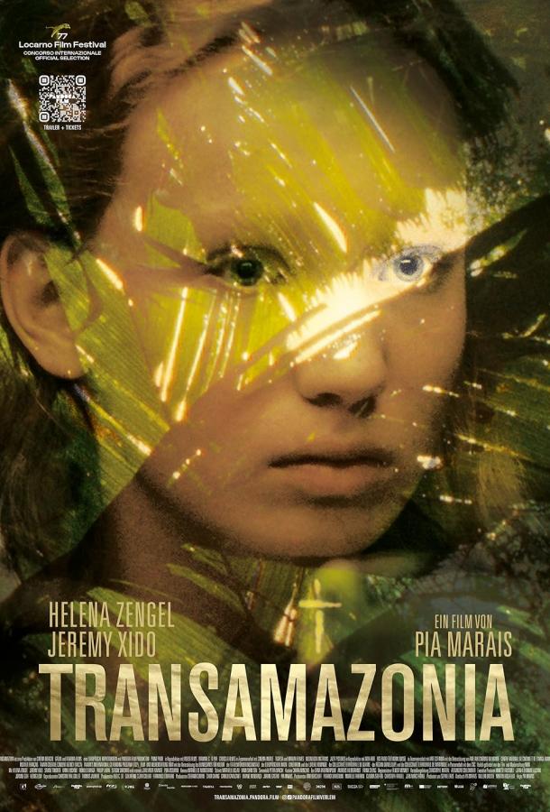 Трансамазония Трансамазония