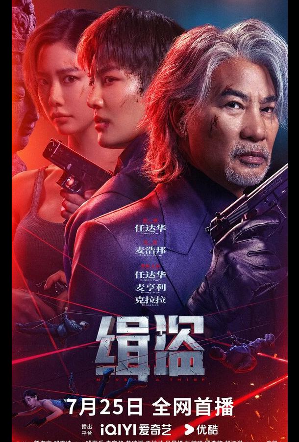 Поймать воров Поймать воров