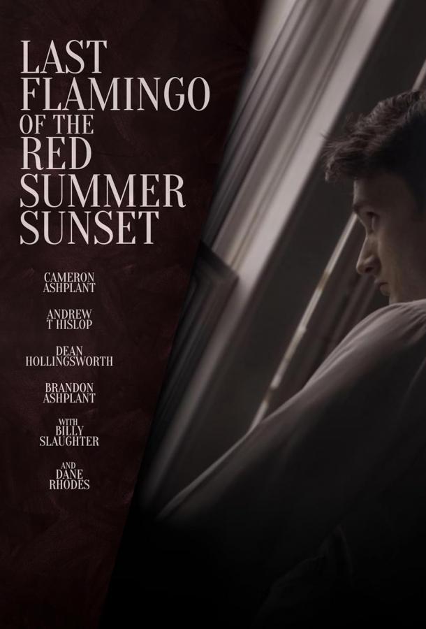 Последний фламинго красного летнего заката Последний фламинго красного летнего заката