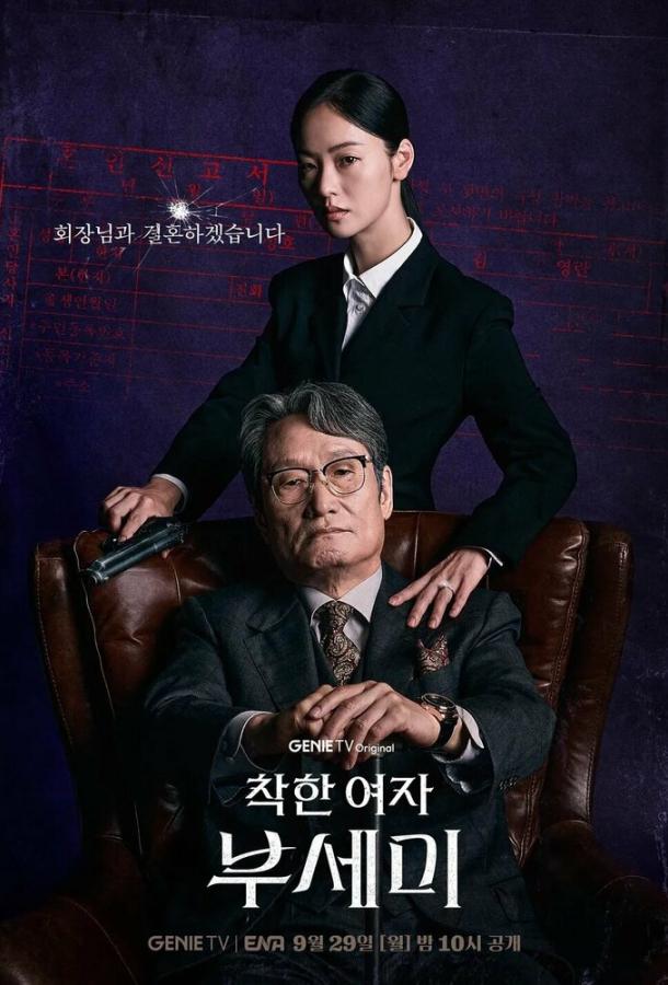 Госпожа Инкогнито / Хорошая женщина Бу Се Ми Госпожа Инкогнито / Хорошая женщина Бу Се Ми