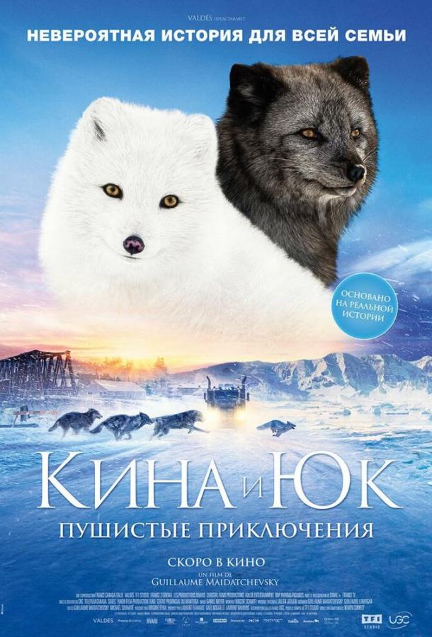 Кина и Юк: Пушистые приключения Кина и Юк: Пушистые приключения