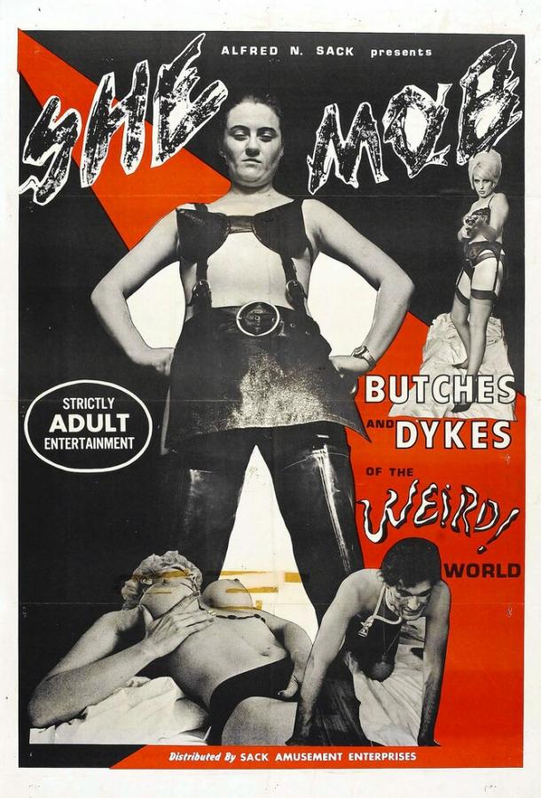 Девичья шайка Девичья шайка