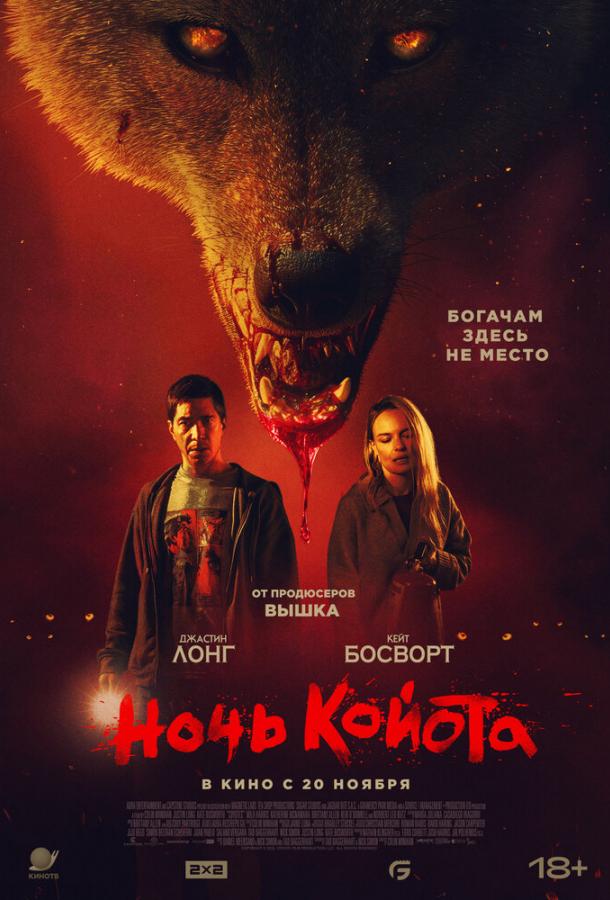 Ночь койота Ночь койота