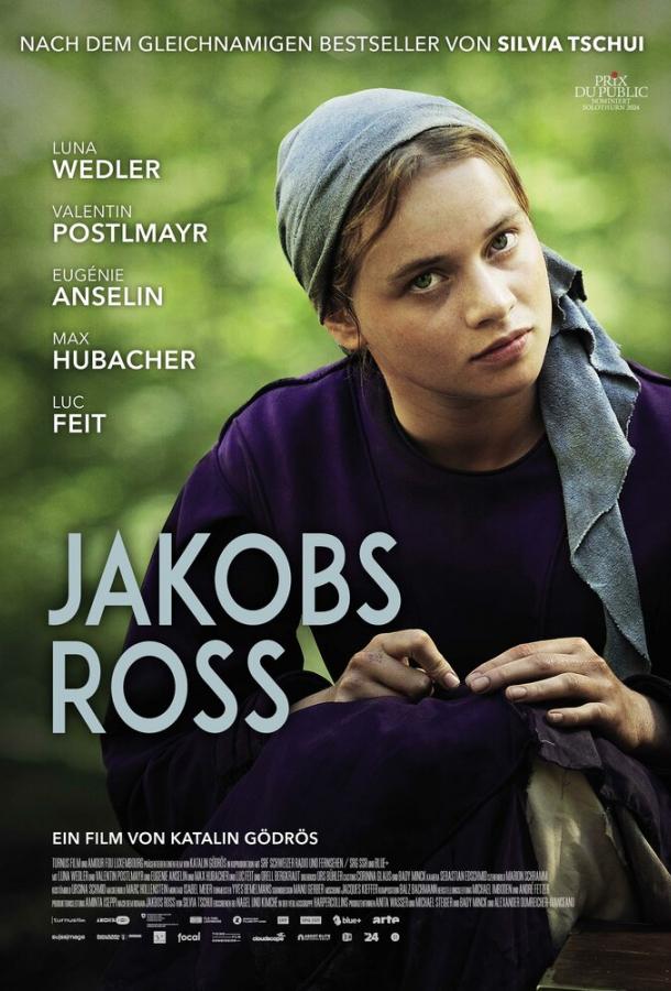 Когда поёт душа Когда поёт душа