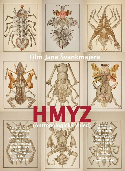 Насекомые Насекомые