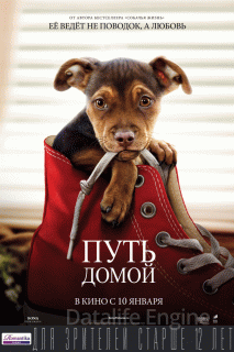 Путь домой (2019)