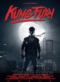 Кунг Фьюри (2015)